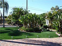 Synthetic Turf