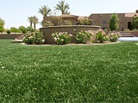 Synthetic Turf