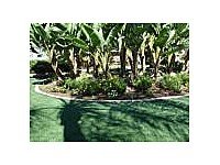 Synthetic Turf
