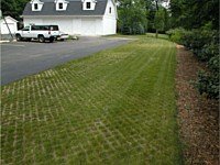 Water Permeable Pavers