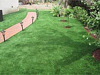 Synthetic Turf